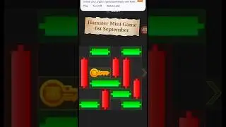 6st September Hamster Kombat Daily Mini Game Solution #hamsterminigame