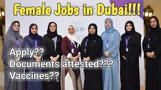 Female Jobs in Dubai | How female get job in Dubai?? 