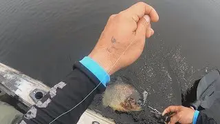 HACE MAS DE UN AÑO QUE NO PESCABAMOS EN ESTA LAGUNA ( LAGUNA NEGRA ) UN LUGAR QUE NUNCA DECEPCIONA