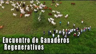 ENCUENTRO DE GANADEROS REGENERATIVOS