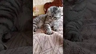 Вы богатый человек... 