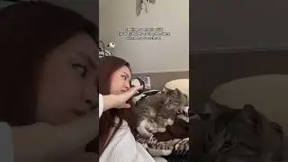 Getting the Furbo Cat Camera has helped me keep an eye on Coco while I’m at school. 