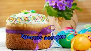 Христос воскрес! У рыб тоже праздник. Переезд гуппи.
