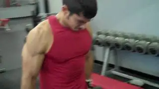 Hammer curls 60 lbs