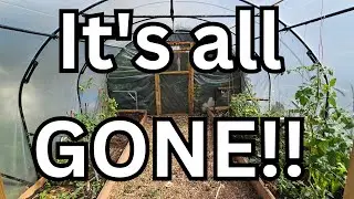 Preparing the garden for autumn planting