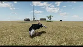 Send This to a Wild Savanna Player