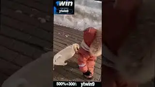 АНЯ ИЩУК ТИМ ДИМАС БЛОГ МИККИ #tiktok #аняищук #димасблог #shorts #хайпхаус #shortsvideo  #shorts