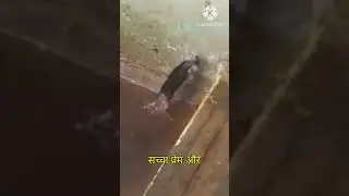 Motivational no words to describe