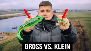 Fängt man Zander besser mit großen Ködern? Der Vergleich!