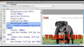 Dreamweaver File Save As To Create Inner Page (Html) With Same Css Files 