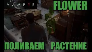 VAMPYR ПОЛИВАЕМ ВОДОЙ Цветок/Растение - water the plant/flower