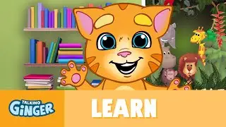 Talking Ginger’s Weird Animals