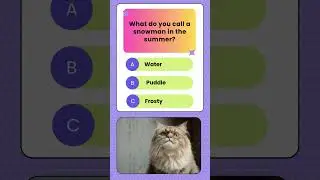 Cat Answers: What Do You Call a Snowman in Summer?