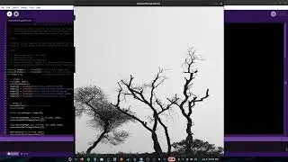 DIY VHS Image Glitcher from Scratch in Processing (Java Mode)