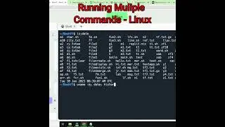 Running Multiple Commands in Linux | Linux Tips 