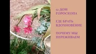12 дом гороскопа, где брать вдохновение