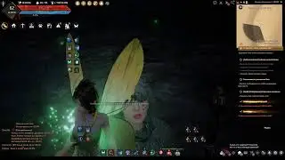 Black Desert- БДО -  качаю лучку, откармливаю фею.