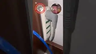 Schuko Mortale spinta a forza in una Presa Bipasso
