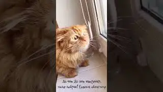 Да что же это творится люди добрые Совсем обнаглели