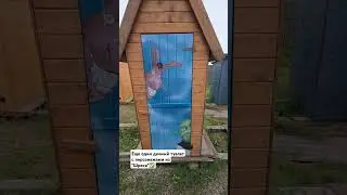 Дачный туалет с рисунком из  "Шрека" / Столярка 24