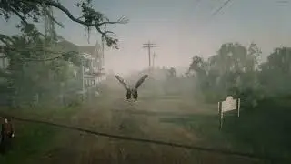 Flying low with Turkey - RDR2