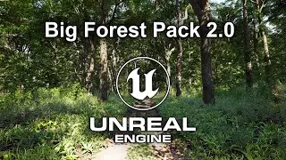 Big Forest Pack 2.0 | Real-Time Demo | Unreal Engine 5.1 Nanite (4K)