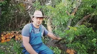 Разработка участка.