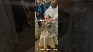 С Крещением Господним!