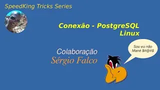 SpeedKing  05 - Dica PostgreSQL