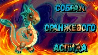 СОБРАЛ дракона ОРАНЖЕВЫЙ АСПИД | Легенды Дракономании