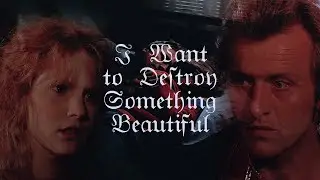 I Want to Destroy Something Beautiful || Martin x Agnes