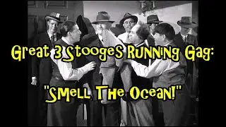 Great 3 Stooges Running Gag: 