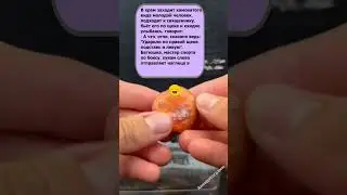 Анекдот ПРО силу 