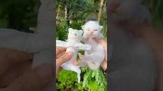 Tutorial membua*ng anak kucing lucu gemes 😍 