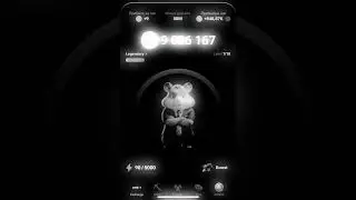 cryptovol for free. bonus on my link in the description #cryptocol #hamsterkombat #hamster