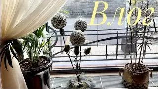 ВЛОГ. Эстетика будней, антиквариат и детективная история