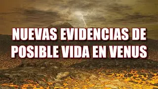NUEVAS EVIDENCIAS DE POSIBLE VIDA EN VENUS