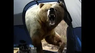 Animal Attacks and Close Calls Part Five 2021