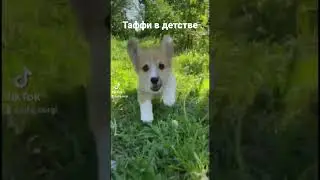 🥺