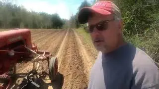 Running Rows 2022