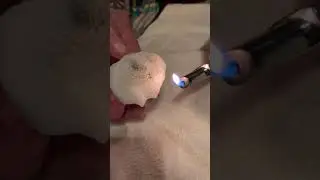 The Unmelted Snow Challenge Feb 2021