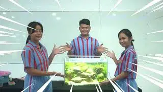 รางวัลชนะเลิศ การประกวดตกแต่งตู้พรรณไม้น้ำสวยงาม เรื่องน้ำตกกินรี