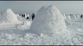 Фестиваль иглу на льду Новосибирского водохранилища в районе пляжа 