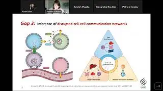 "A Novel Computational Framework for Inferring the Developmental and Cellular Origins of..."