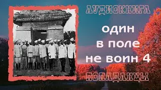АУДИОКНИГА ПОПАДАНЦЫ: ОДИН В ПОЛЕ  НЕ ВОИН 4