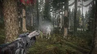 DAYZ Внезапная дуэль в лесу с Мистером Панама или не грози поношеной Тундре