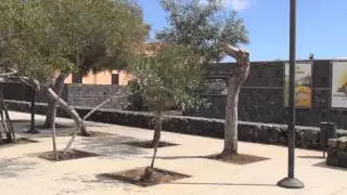GÜIMAR Y EL PUERTITO ( TENERIFE )   Alberto