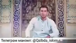7 марта 2019 г.