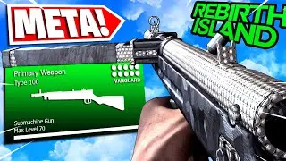 the TYPE 100 is UNSTOPPABLE in WARZONE! 🔥 (BEST TYPE 100 CLASS SETUP/LOADOUT) REBIRTH ISLAND!