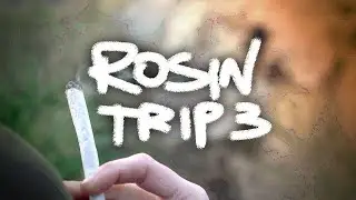 Off Season Best Season | Rosin Trip 3